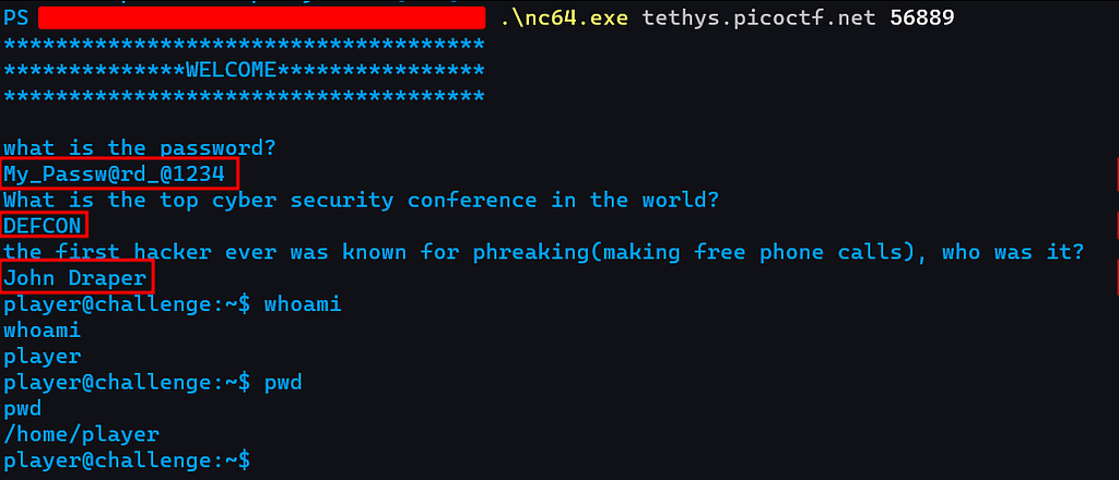 picoCTF 2024 — Writeup [Lao] — article image 114